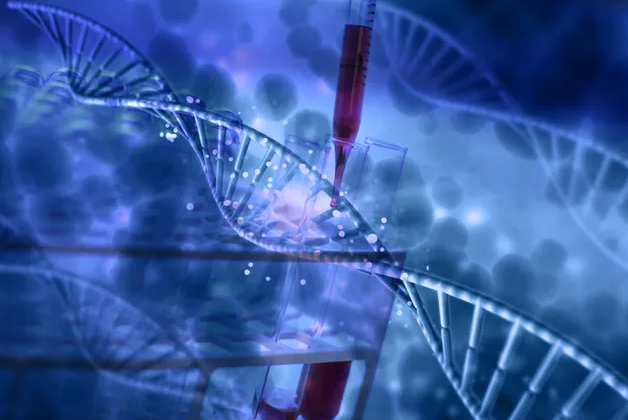 合肥藥品說(shuō)明書(shū)翻譯需要了解的內容以及注意事項有哪些