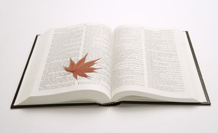 不可忽略的翻譯細節