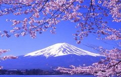 日本翻譯導游水平低，中文不過(guò)關(guān)