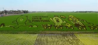 翻譯公司,合肥翻譯公司,合肥翻譯公司報價(jià),合肥翻譯公司哪家好,資深翻譯公司,專(zhuān)業(yè)翻譯公司,首選翻譯公司,權威翻譯公司