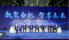 2017中國（合肥）大數據產(chǎn)業(yè)發(fā)展峰會(huì )自合肥圓滿(mǎn)召開(kāi)