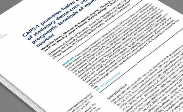 安徽專(zhuān)業(yè)翻譯公司校審流程如何？