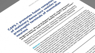 合肥論文翻譯如何收費？